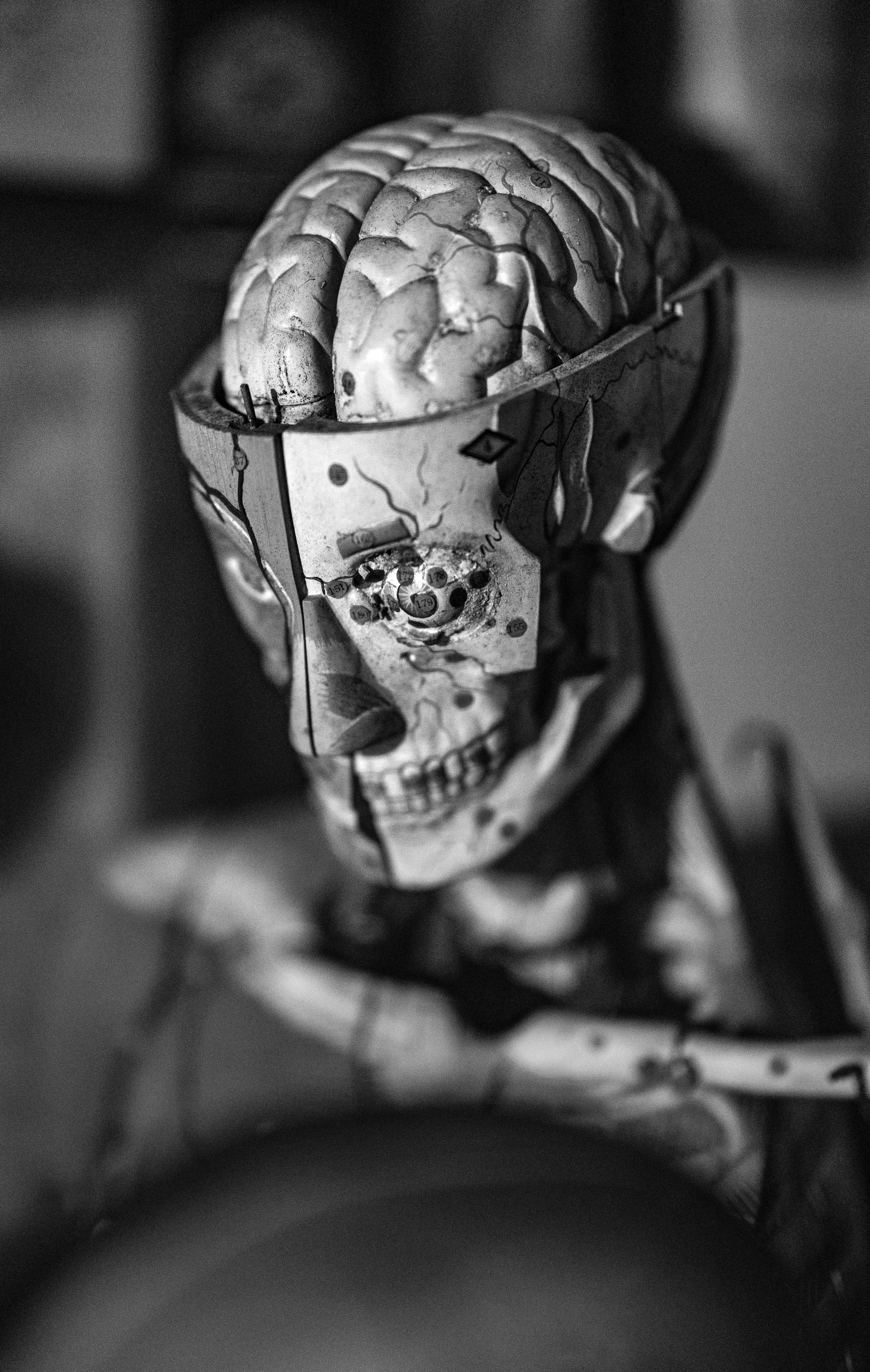 Psiquiatria Humanizada e Integrada
